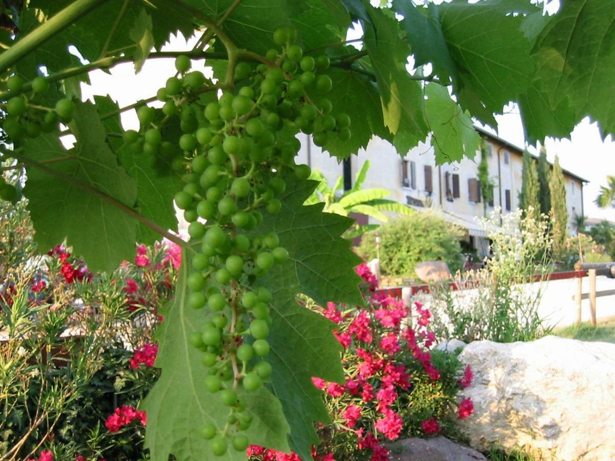 Agriturismo Le Caldane Villa Cola  Exterior photo